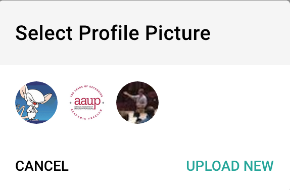 Select Profile Picture